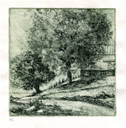 Etching illustrating a farm house with two large trees on a tree farm overlooking a lake in Dutchess County, NY